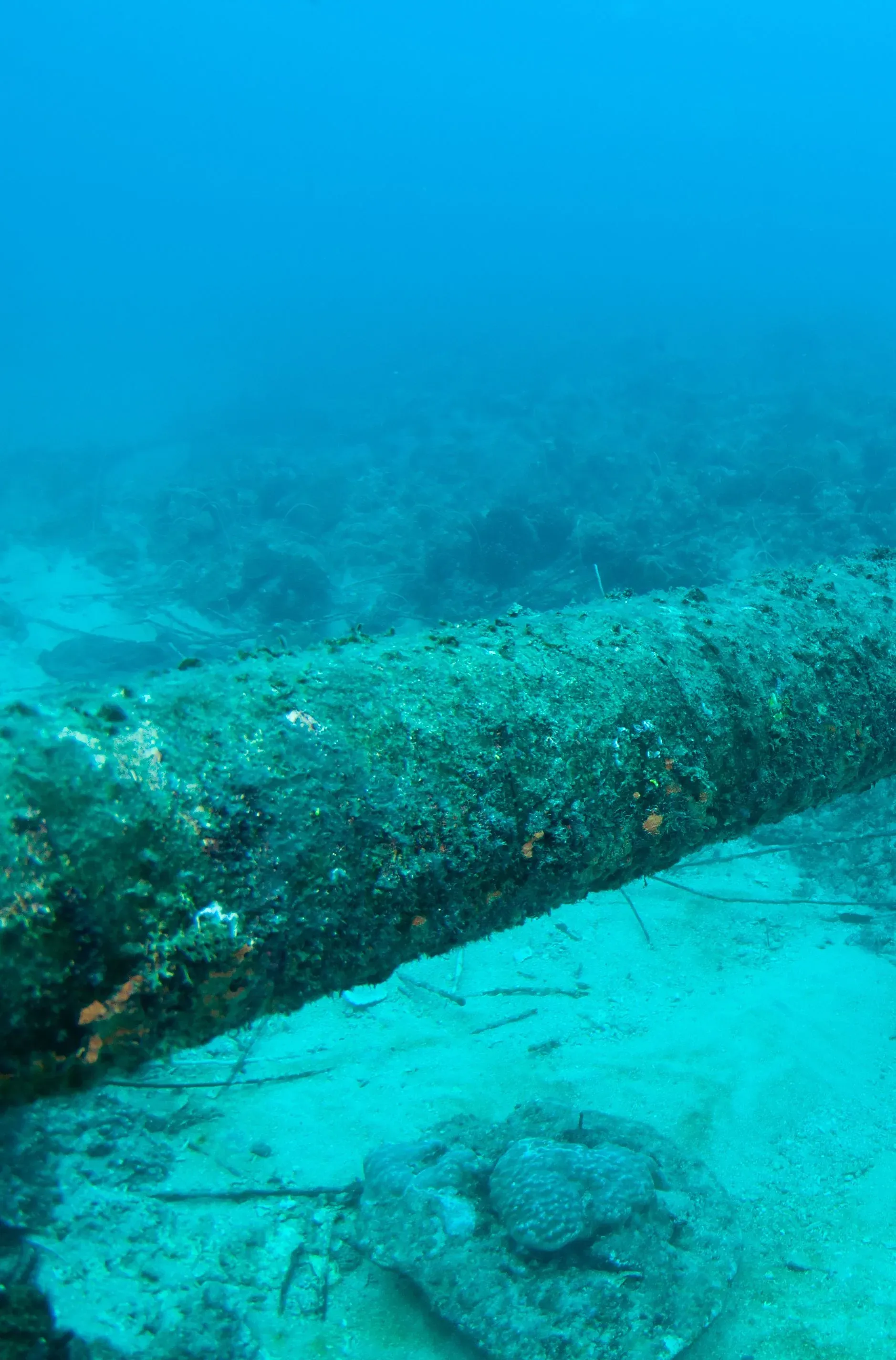 Encrusted subsea pipeline resting on the seabed in open water